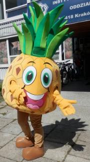 Elabika mascot costumes pineapple Stowarzyszenie Pomocy Dzieciom Ananas