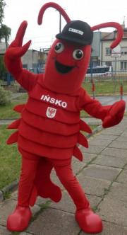 Walking mascot costumes Crayfish Ińsko