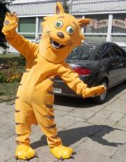 Elabika mascot costumes manufacturer Cat ROKO Fun Zbyszko