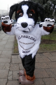 Elabika mascot costumes to order Kraków Dog Pawlow