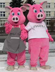 Elabika custom advertising costumes design Pig Zyguła