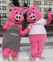 Elabika mascot stroje reklamowe Świnia Zyguła