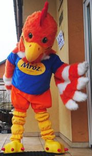 Elabika mascots advertising outfits custom-made Rooster Mróz