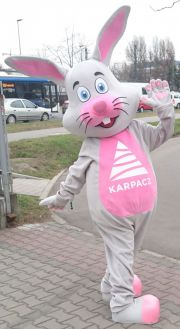 Elabika unique mascot costumes of the Hare Karpacz