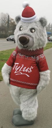 Classic advertising clothes Elabika Bear Tyluś sweater