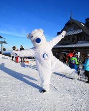 Miś kostium Akademia Misia Polarnego Karpacz