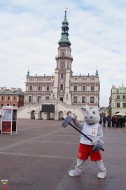 Strój pluszowy Nosorożec Ciężarowiec Zamość